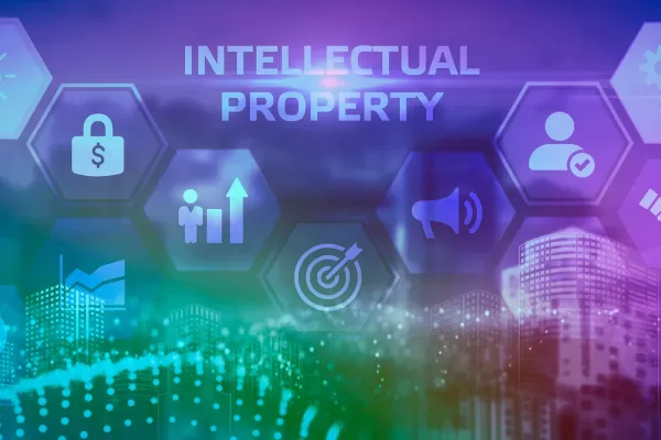 report on Judicial IP