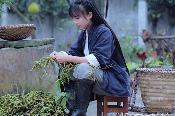 Li ZiQi webblogger