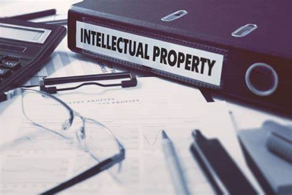 cnipa report ip